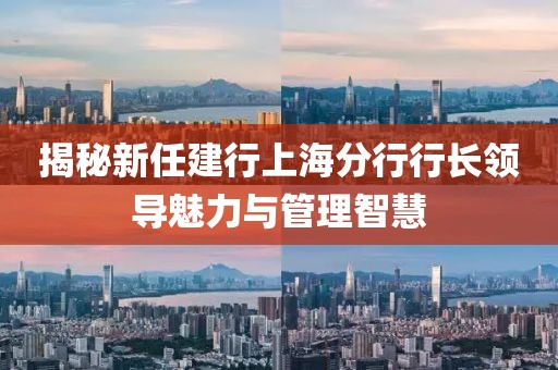 揭秘新任建行上海分行行长领导魅力与管理智慧
