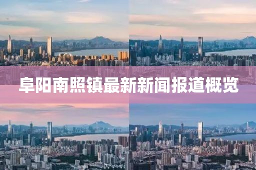 阜阳南照镇最新新闻报道概览