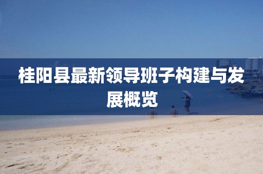 桂阳县最新领导班子构建与发展概览