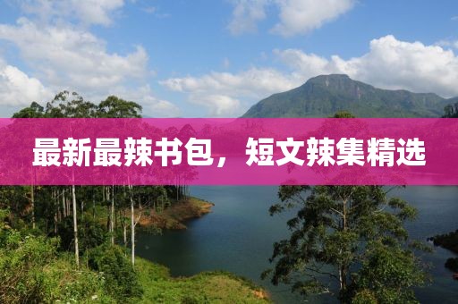 最新最辣书包，短文辣集精选