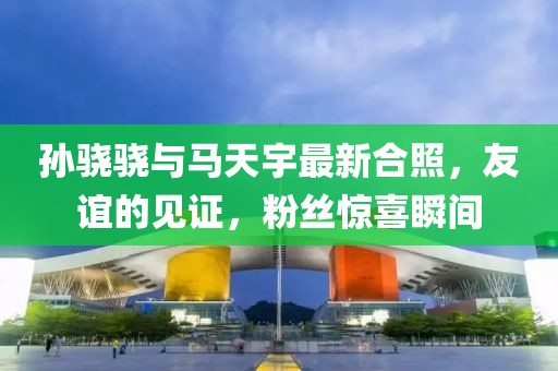 孙骁骁与马天宇最新合照，友谊的见证，粉丝惊喜瞬间