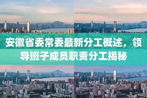 安徽省委常委最新分工概述，领导班子成员职责分工揭秘