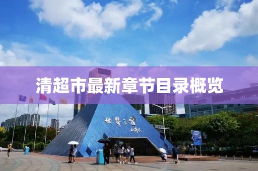清超市最新章节目录概览