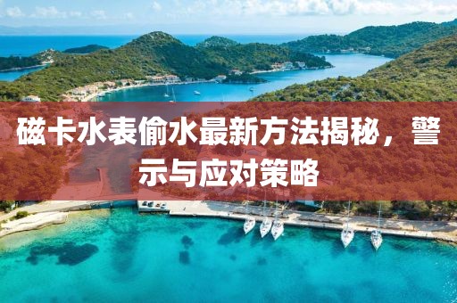 磁卡水表偷水最新方法揭秘，警示与应对策略