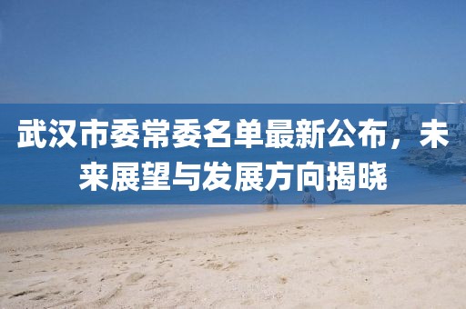 武汉市委常委名单最新公布，未来展望与发展方向揭晓