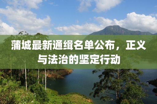 蒲城最新通缉名单公布，正义与法治的坚定行动