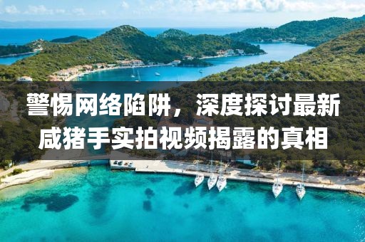 警惕网络陷阱，深度探讨最新咸猪手实拍视频揭露的真相