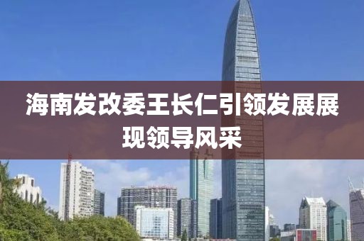 海南发改委王长仁引领发展展现领导风采