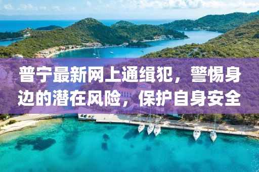 普宁最新网上通缉犯，警惕身边的潜在风险，保护自身安全