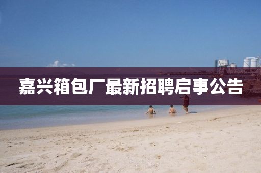 嘉兴箱包厂最新招聘启事公告