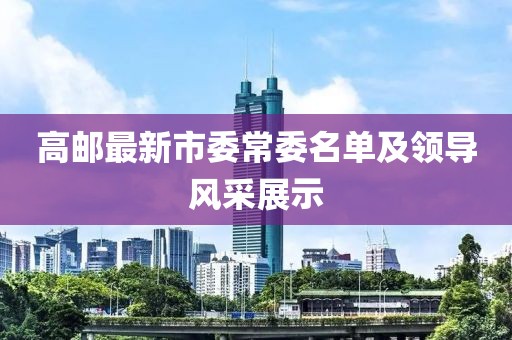 高邮最新市委常委名单及领导风采展示