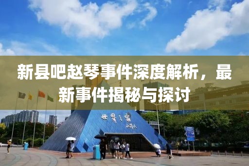 新县吧赵琴事件深度解析，最新事件揭秘与探讨