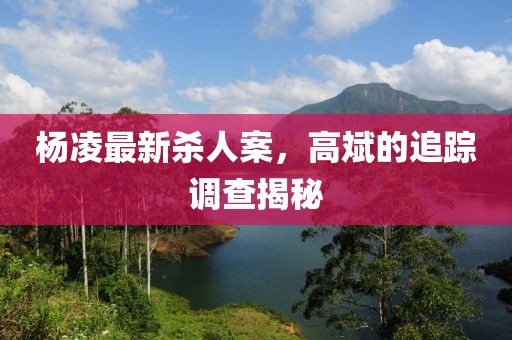 杨凌最新杀人案，高斌的追踪调查揭秘