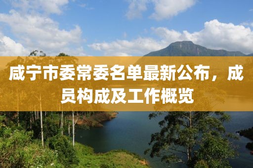 咸宁市委常委名单最新公布，成员构成及工作概览