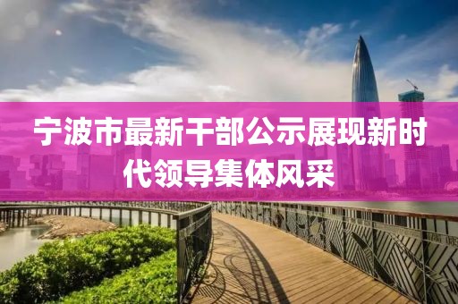 宁波市最新干部公示展现新时代领导集体风采