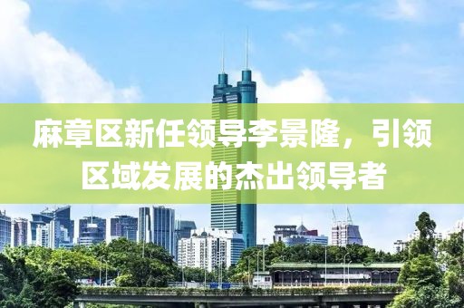 麻章区新任领导李景隆，引领区域发展的杰出领导者