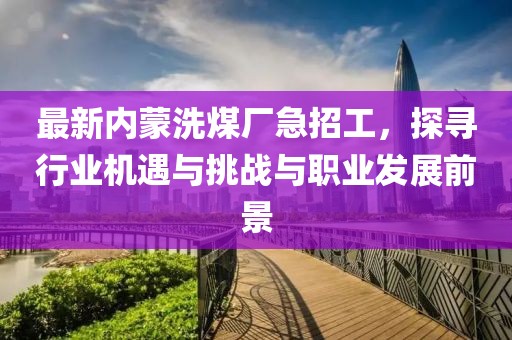 最新内蒙洗煤厂急招工，探寻行业机遇与挑战与职业发展前景
