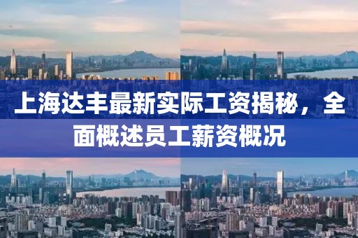 上海达丰最新实际工资揭秘，全面概述员工薪资概况