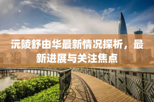 沅陵舒由华最新情况探析，最新进展与关注焦点