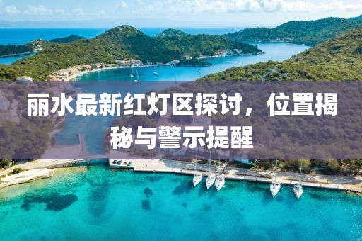 丽水最新红灯区探讨，位置揭秘与警示提醒