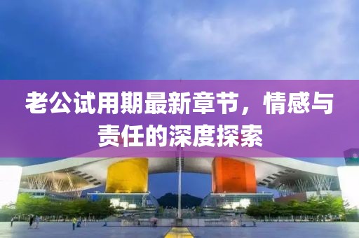 老公试用期最新章节，情感与责任的深度探索