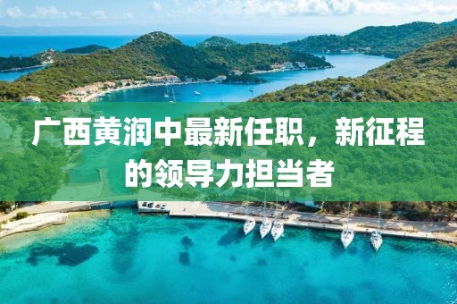 广西黄润中最新任职，新征程的领导力担当者