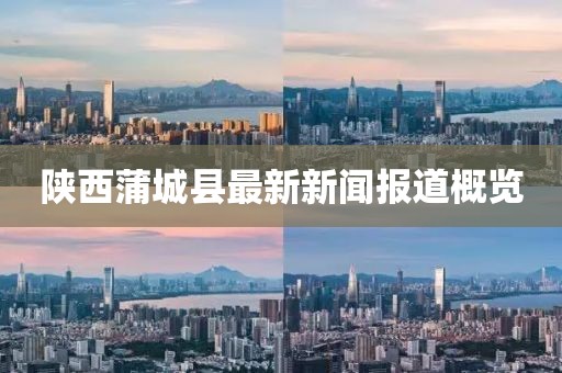 陕西蒲城县最新新闻报道概览