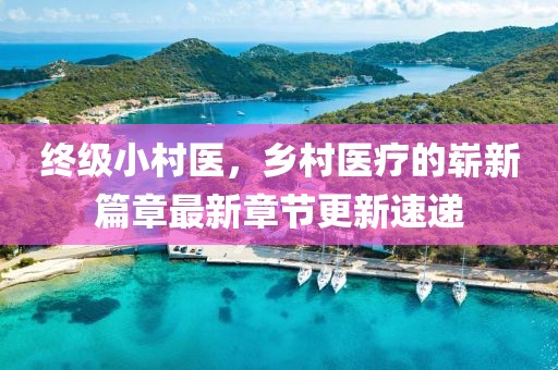 终级小村医，乡村医疗的崭新篇章最新章节更新速递