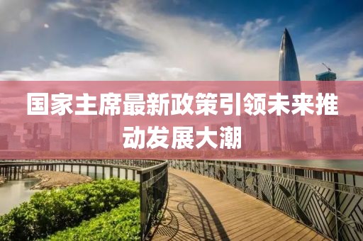 国家主席最新政策引领未来推动发展大潮