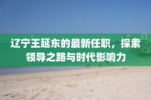 辽宁王延东的最新任职，探索领导之路与时代影响力