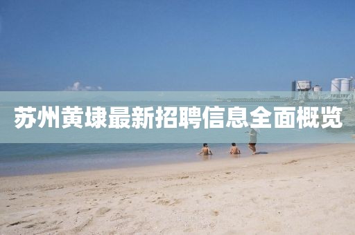 苏州黄埭最新招聘信息全面概览