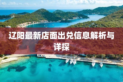 辽阳最新店面出兑信息解析与详探