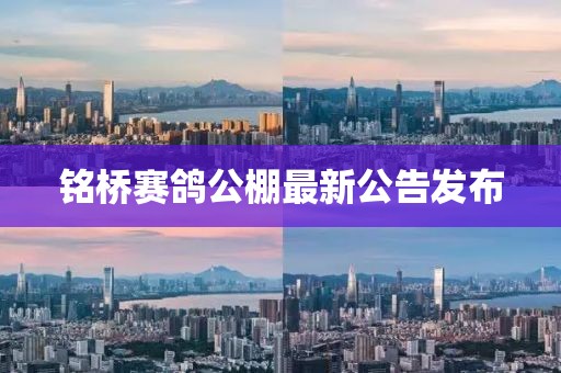 甜心少女 第19页