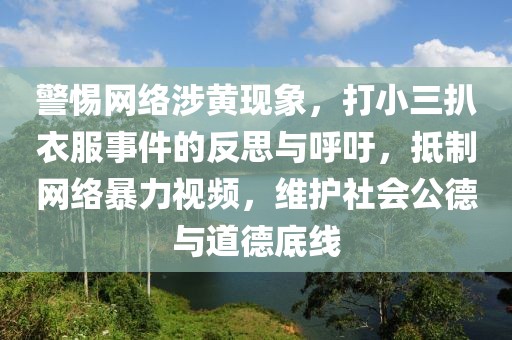 警惕网络涉黄现象，打小三扒衣服事件的反思与呼吁，抵制网络暴力视频，维护社会公德与道德底线