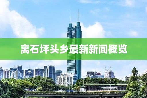 离石坪头乡最新新闻概览