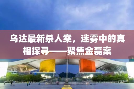 乌达最新杀人案，迷雾中的真相探寻——聚焦金磊案