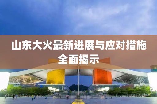 山东大火最新进展与应对措施全面揭示