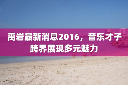 禹岩最新消息2016，音乐才子跨界展现多元魅力