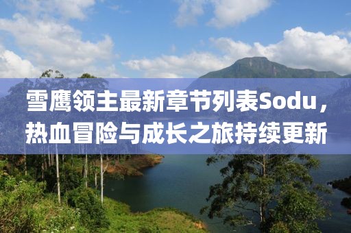 雪鹰领主最新章节列表Sodu，热血冒险与成长之旅持续更新