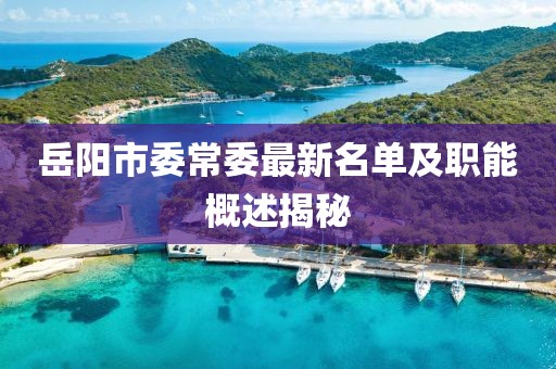 岳阳市委常委最新名单及职能概述揭秘