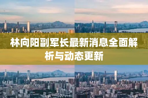 林向阳副军长最新消息全面解析与动态更新