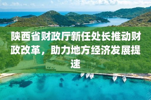陕西省财政厅新任处长推动财政改革，助力地方经济发展提速