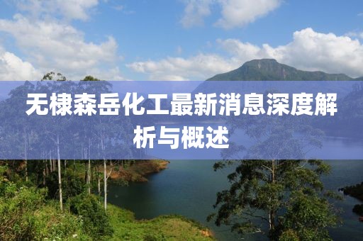无棣森岳化工最新消息深度解析与概述