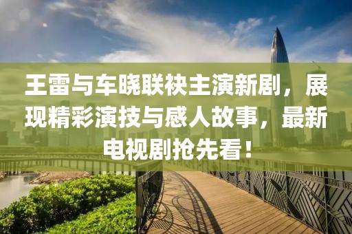 王雷与车晓联袂主演新剧，展现精彩演技与感人故事，最新电视剧抢先看！