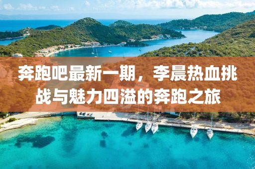 奔跑吧最新一期，李晨热血挑战与魅力四溢的奔跑之旅