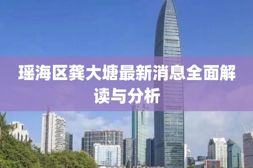 瑶海区龚大塘最新消息全面解读与分析