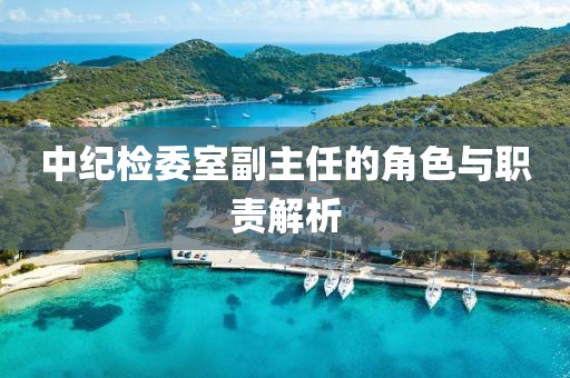 中纪检委室副主任的角色与职责解析