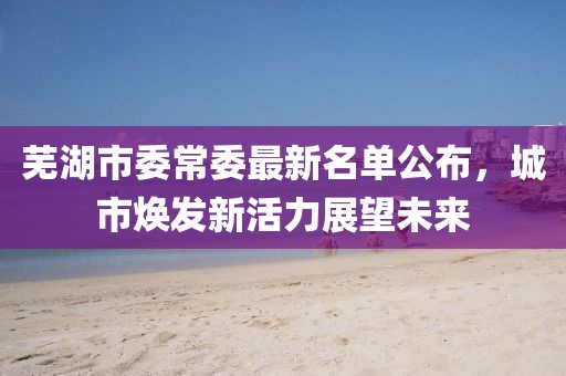 芜湖市委常委最新名单公布，城市焕发新活力展望未来