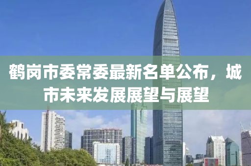 鹤岗市委常委最新名单公布，城市未来发展展望与展望