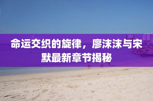 命运交织的旋律，廖沫沫与宋默最新章节揭秘